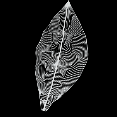 NEOANALOG